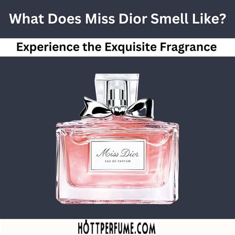 miss dior us|what does miss dior perfume smell like.